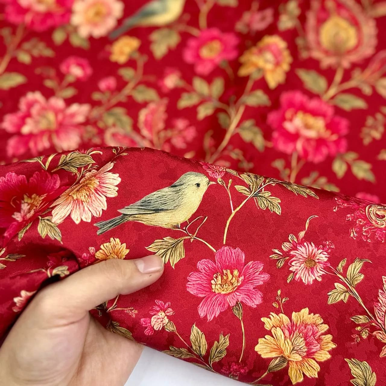 بلبل وبته یلدایی بوگاتی پلاس